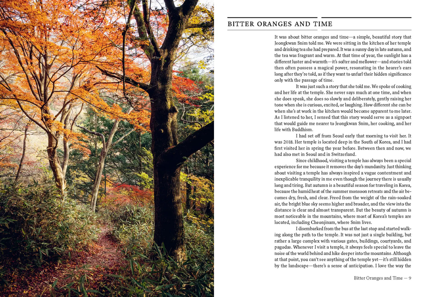 Korean Temple Cooking - - - Hardie Grant Gift - Saardé.