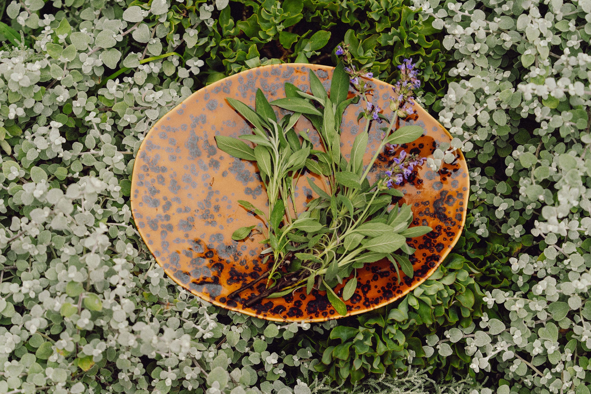 Sunfleck | Serving Platter