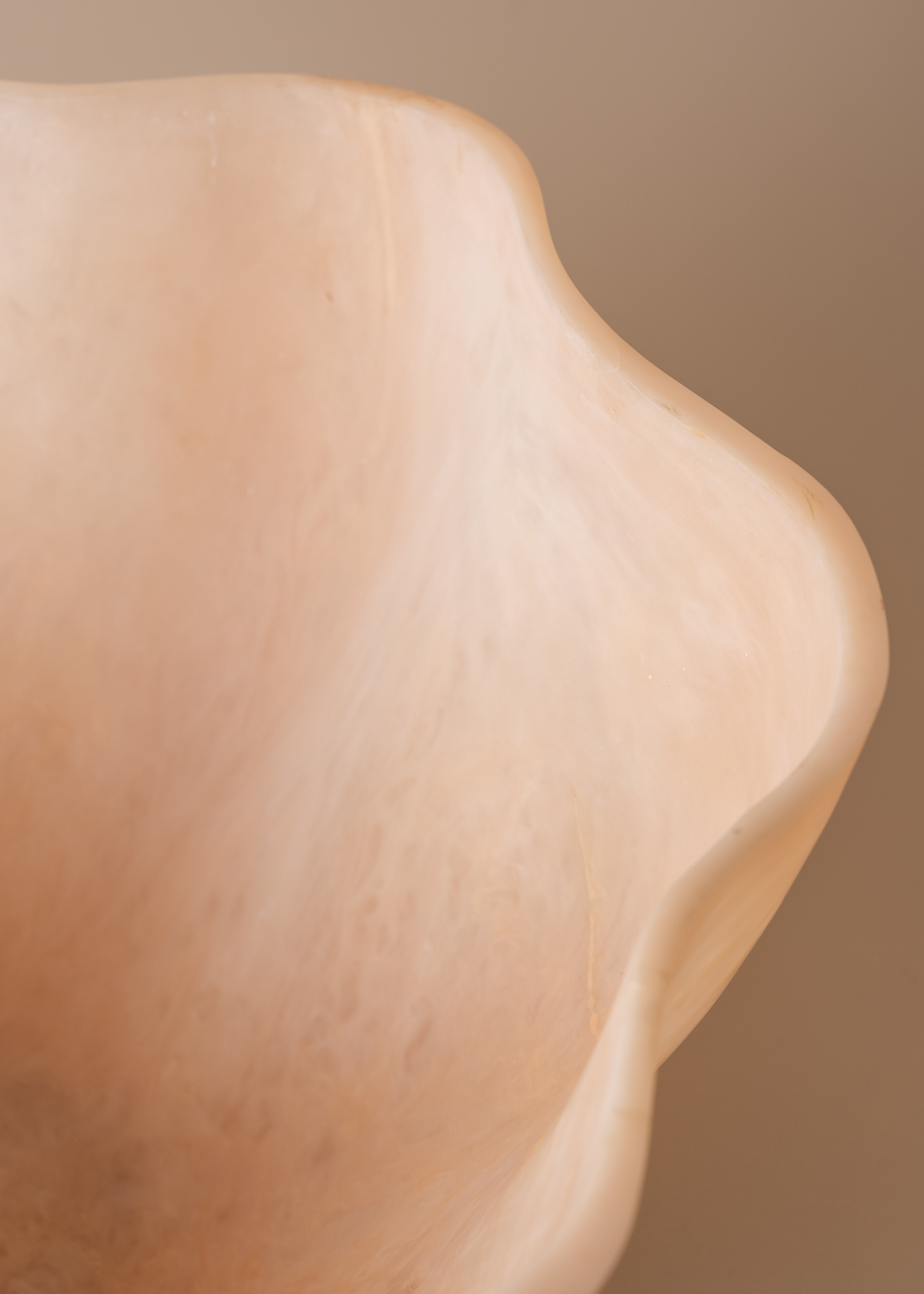 Flow Resin Champagne Vessel | Shell - - - Saardé - Saardé.