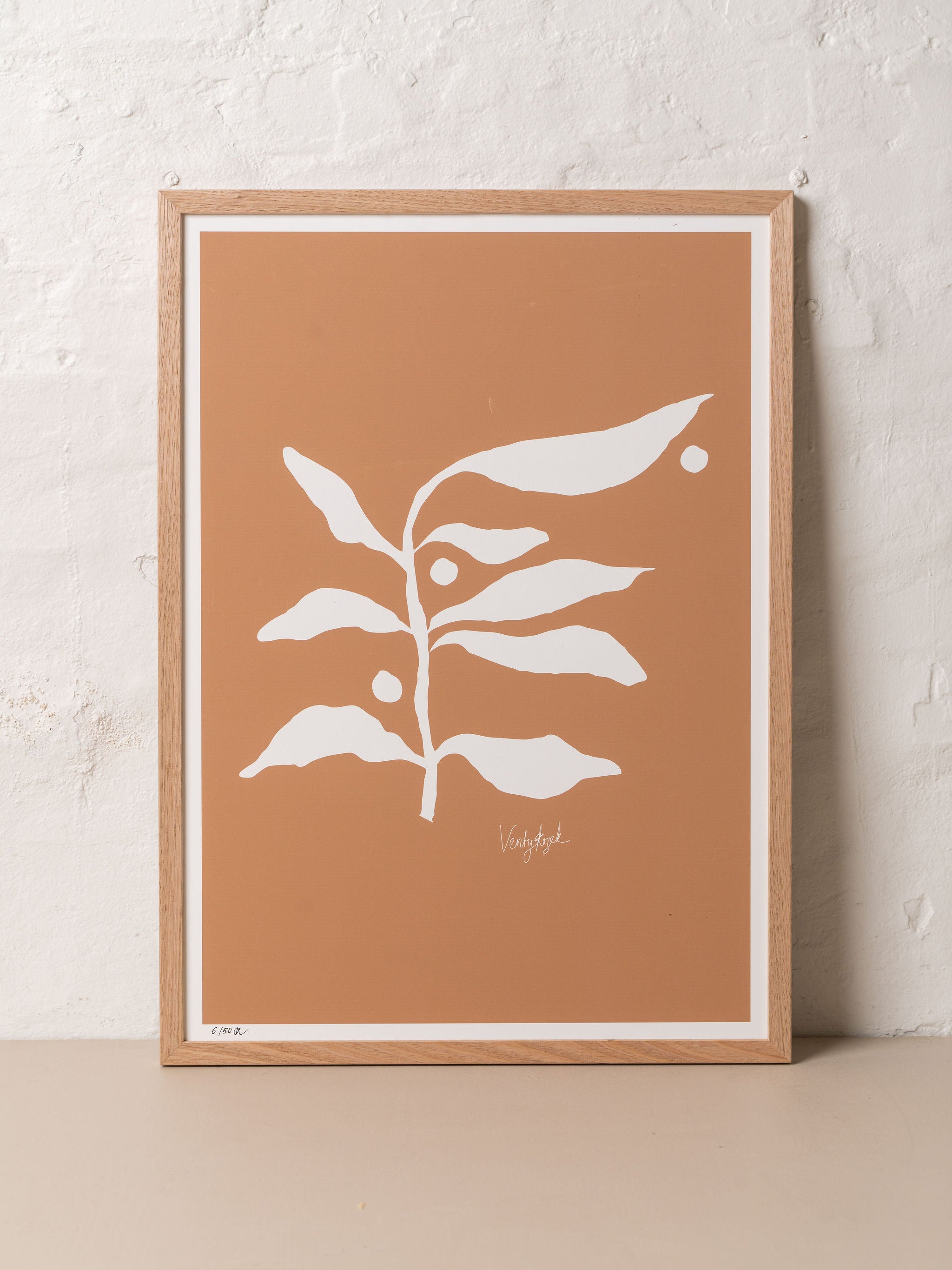 Branch Study