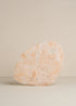 Flow Resin Cheese Platter | Shell - - - Saardé - Saardé.