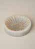 Flow Resin Dish | Shell - - - Saardé - Saardé.