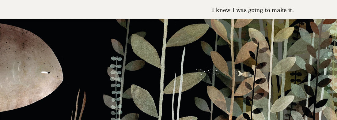 This Is Not My Hat | Jon Klassen - - - Hardie Grant Gift - Saardé.