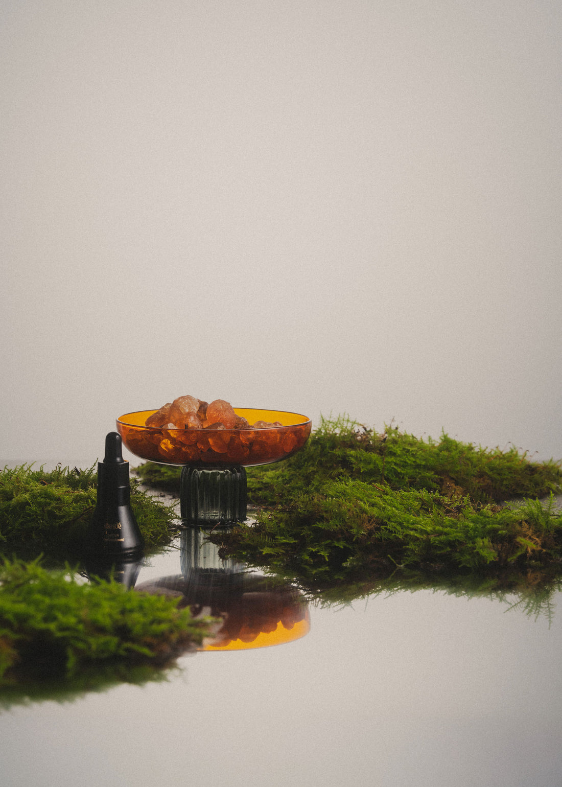 Home Fragrance Set | Vegetal Amber | Amber Bowl