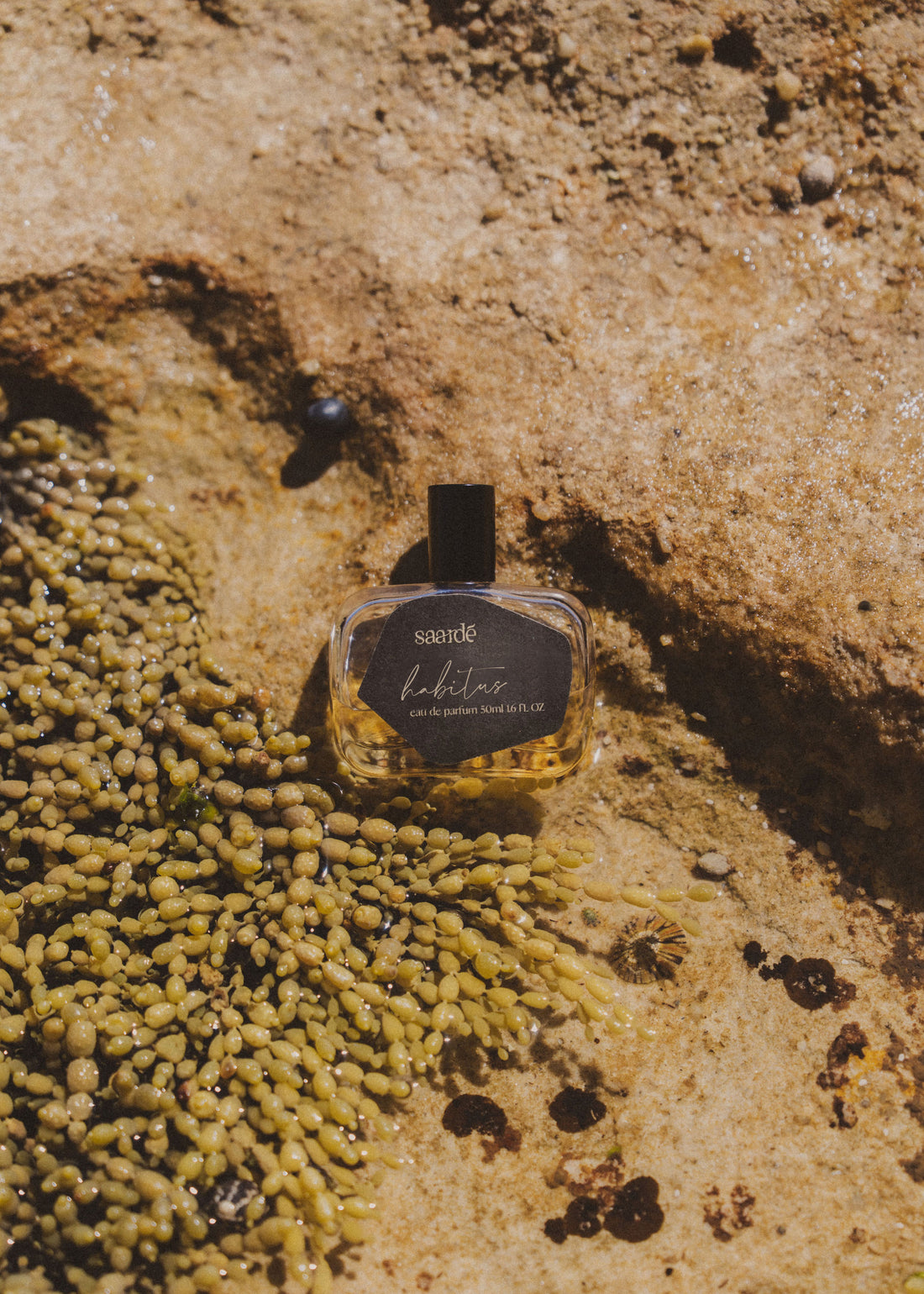 Eau de Parfum | Habitus