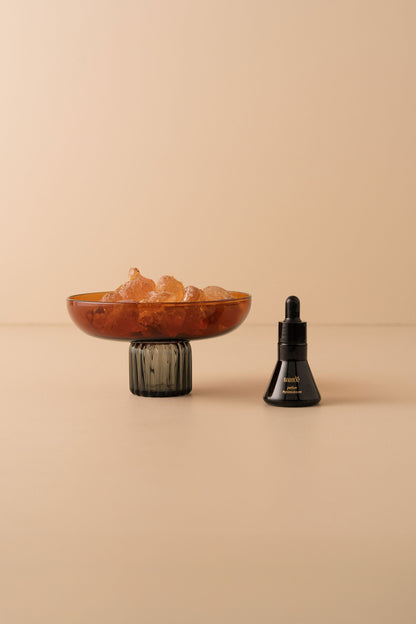 Home Fragrance Set | Vegetal Amber | Amber Bowl - - - Saardé - Saardé.
