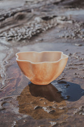 Flow Resin Champagne Vessel | Shell - - - Saardé - Saardé.