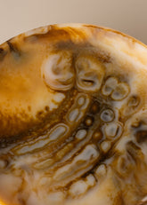 Flow Resin Structured Fruit Bowl | Iced Coffee - - - Saardé - Saardé.