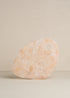 Flow Resin Cheese Platter | Shell - - - Saardé - Saardé.