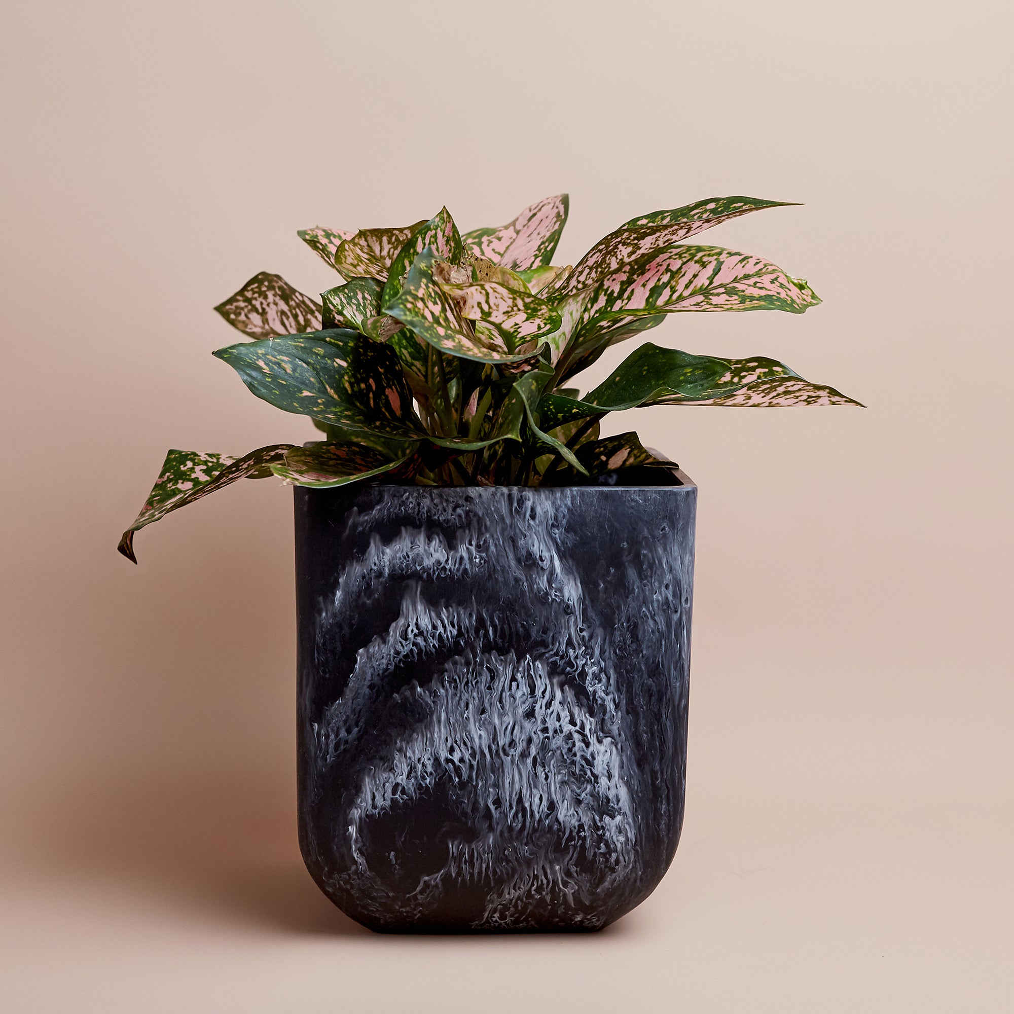 Flow Resin Bin/Planter  | Ash Black -  -  - Saardé - Saardé.