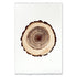 Print | Oak Wood Ring - Default Title - Default Title - Barloga Studios - Saardé.
